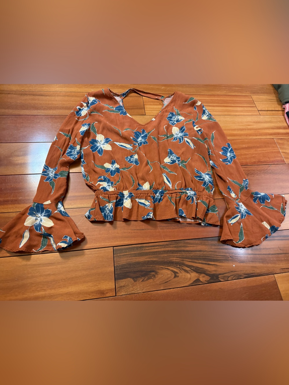 Lumiere Rust Floral V-Neck Peplum Top with Blue & Cream Blooms